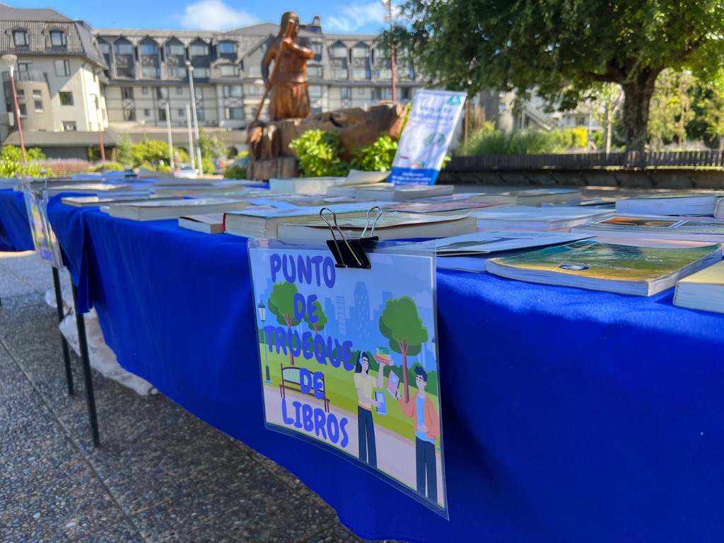 Programa Verano fomenta educación y lectura en Pucón