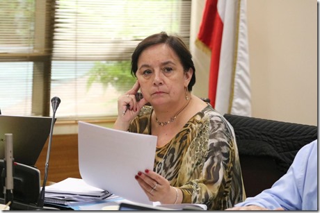 Senadora Aravena ok