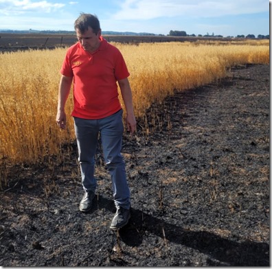 Diputado Rathgeb Denuncias incendios