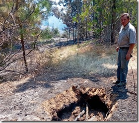 DIPUTADO RATHGEB INCENDIOS (1)