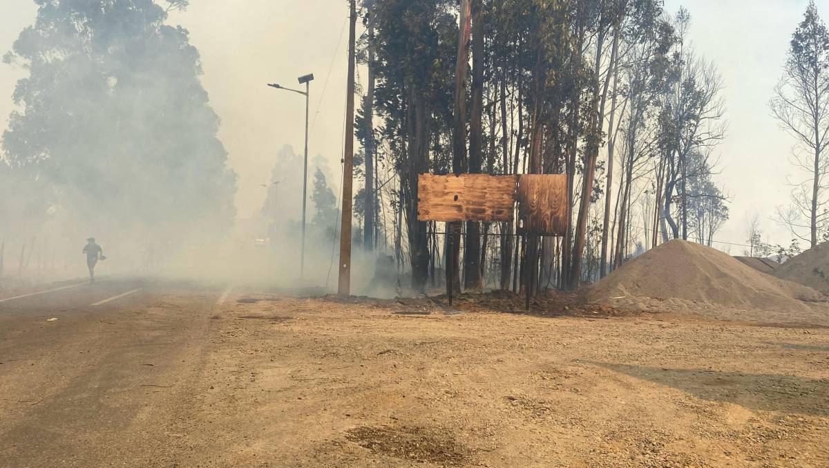 Dos bomberos lesionados en incendio forestal en Pitrufquén