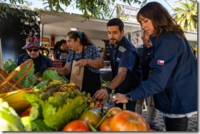 Mercado Campesino Agroecológico Pitrufquén 4