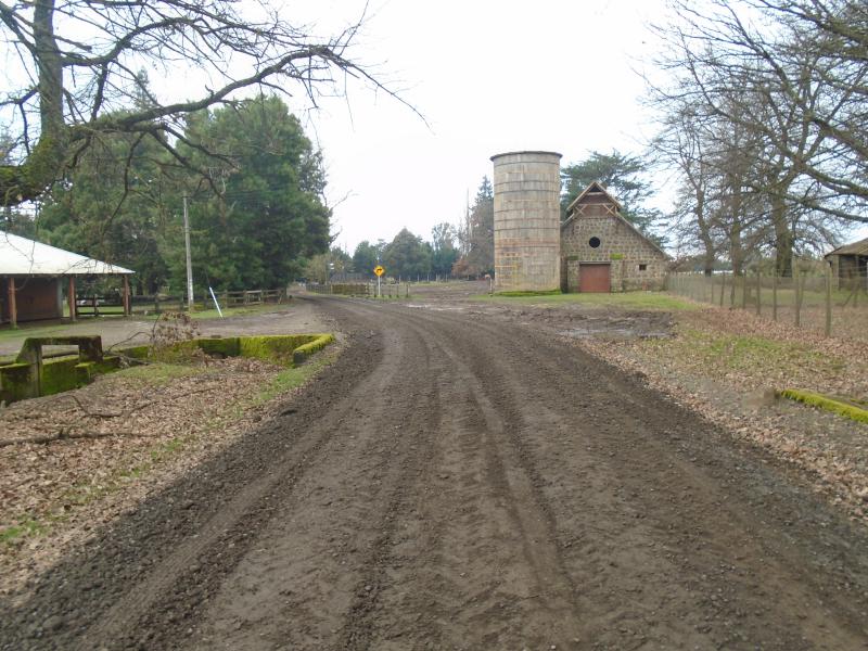 Inversión de 11 mil millones para pavimentar camino en Traiguén