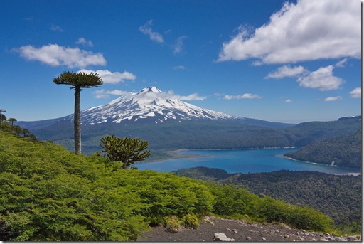 araucania-andina-parque-conguillio_prin-min-1536x1024