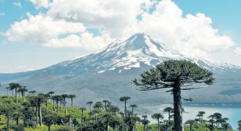 Lanzan proyecto para desarrollar Hidrógeno Verde en La Araucanía