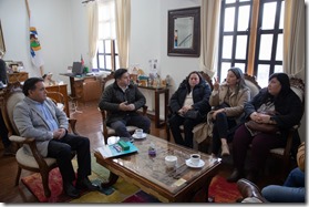 Proyecto habitacional Lomas de Lautaro avanza