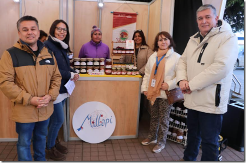 Expo Sabores del Campo en Villarrica hasta el 5 de julio