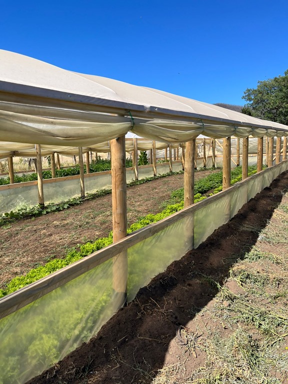 Jóvenes agricultores enfrentan el cambio climático con innovación desde Angol y Renaico
