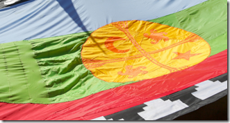 bandera-mapuche-1-750x400