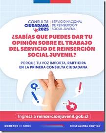 IG_Part_Consulta-ciudadana_26_082