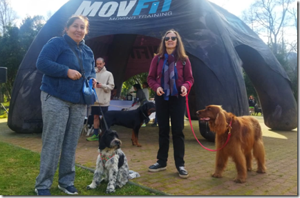 Deporte con mascotas en Pucón - Araucanía Noticias Temuco