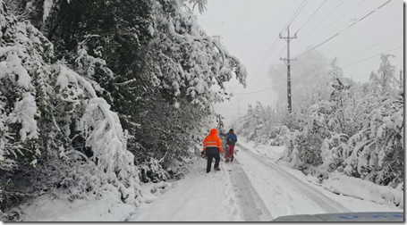 Emergencia climática: Equipos municipales de Villarrica actúan