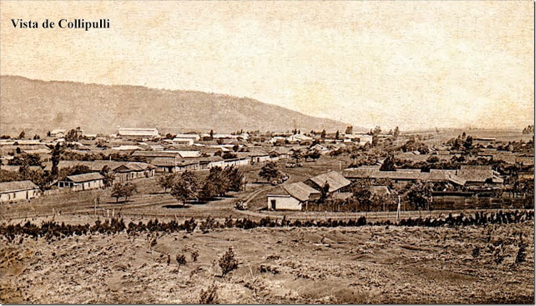 COLLIPULLI