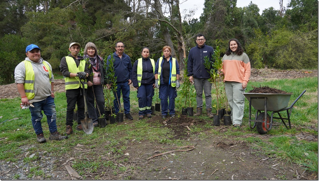 Pitrufquén impulsa plan de reforestación con especies nativas