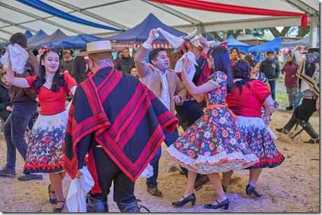 Balance positivo en Fiestas Patrias de Lautaro