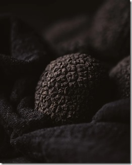 Trufas-Araucania-avanza-con-fuerza-en-la-industria-gourmet