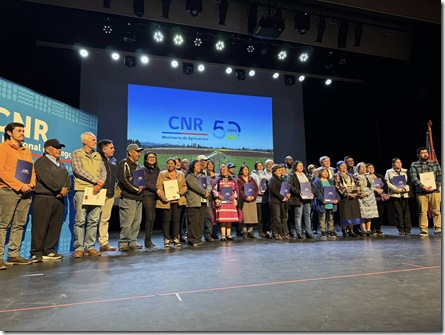 cna loncoche cna loncoche