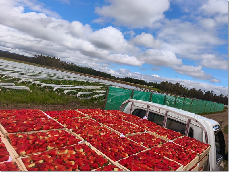 51aea52b-84c0-41dd-ac40-780191b9ce7a