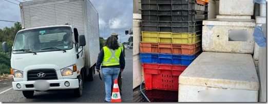 Fotos para web-FORMATO - 1