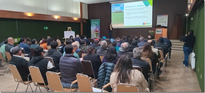 WhatsApp Image 2025-11-07 at 15.01.32