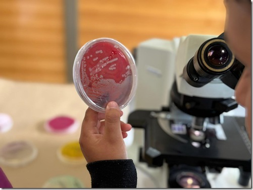 WhatsApp Image 2025-11-20 at 4.55.43 PM