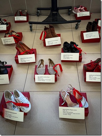 WhatsApp Image 2025-11-26 at 12.31.48 PM