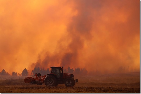 balance temporada 003