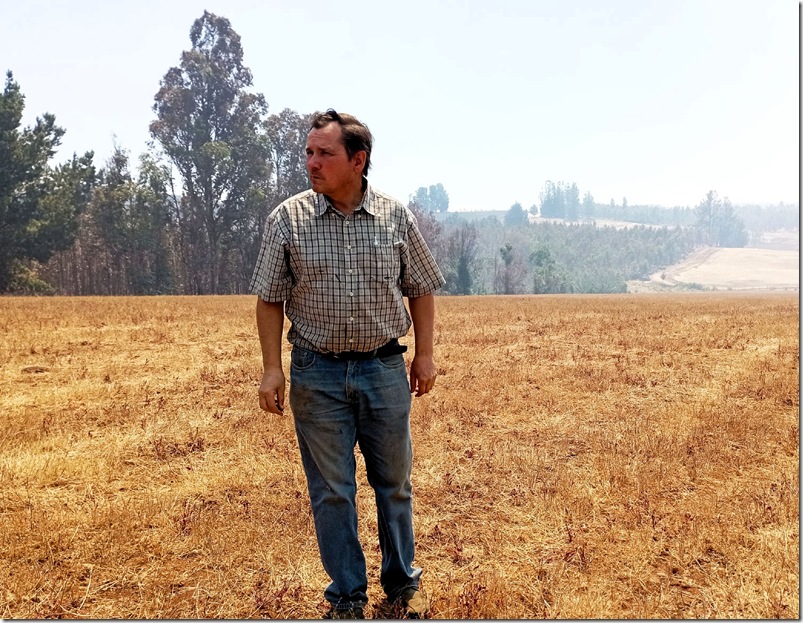 DIPUTADO RATHGEB INCENDIOS