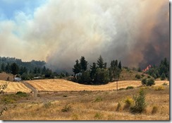 Inendio Traigu&eacute;n Galvarino feb2025