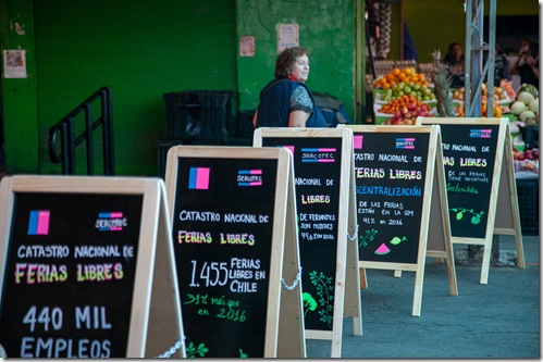 Lanzamiento Catastro Ferias Libres 4