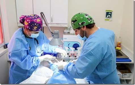 photo_5005848774097701673_y