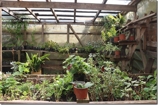 photo_5026204342100364144_w