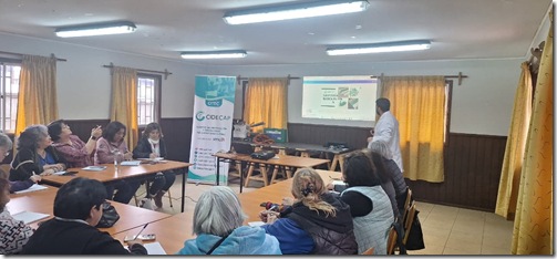 photo_5050948529160915757_y