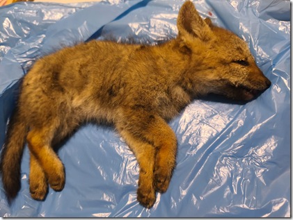 WhatsApp Image 2025-12-04 at 11.24.30 AM