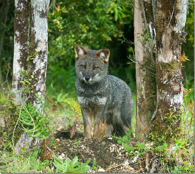 WhatsApp Image 2025-12-10 at 6.24.11 PM