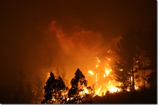 Incendio forestal en Concepcion 17/01/2026