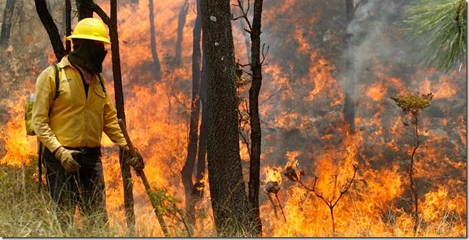Conaf-incendios-forestales_3