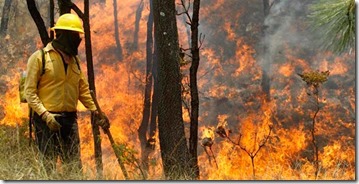 Conaf-incendios-forestales_3