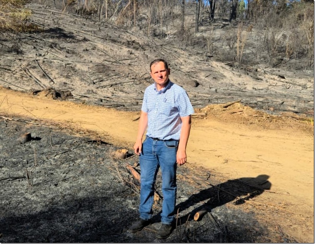 DIPUTADO RATHGEB INCENDIOS 