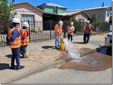 inspecci&oacute;n grifos