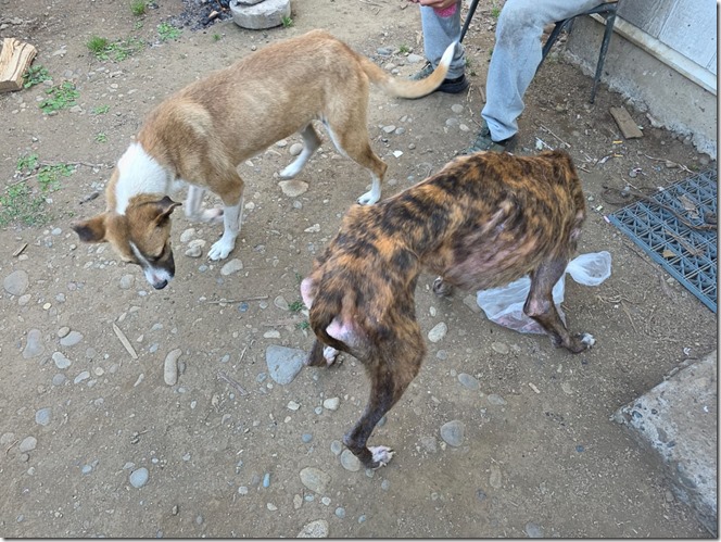 WhatsApp Image 2026-01-09 at 12.36.50 PM