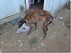 WhatsApp Image 2026-01-09 at 12.37.38 PM