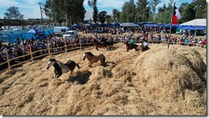 FOTO A&Eacute;REA TRILLA LAUTARO