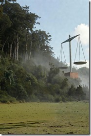 image - 2026-02-10T114440.511