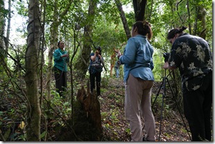 Residencia Semillero-9 (1) (1)