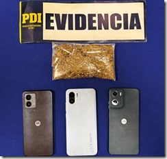 WhatsApp Image 2026-02-03 at 3.36.36 PM