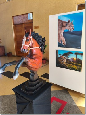 WhatsApp Image 2026-02-13 at 15.30.28