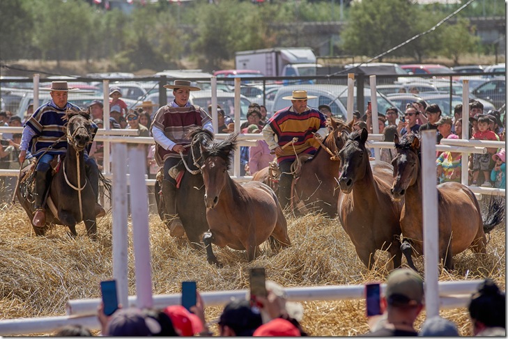 636873848_1336966031798900_7286404422275214672_n