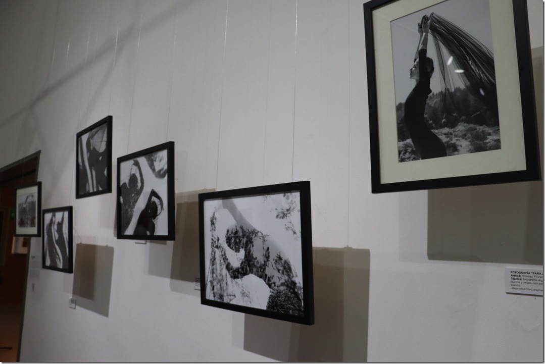 exposici&oacute;n centro cultural