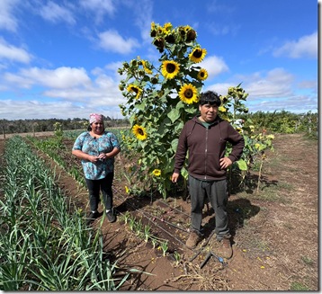 WhatsApp Image 2026-03-02 at 23.16.49